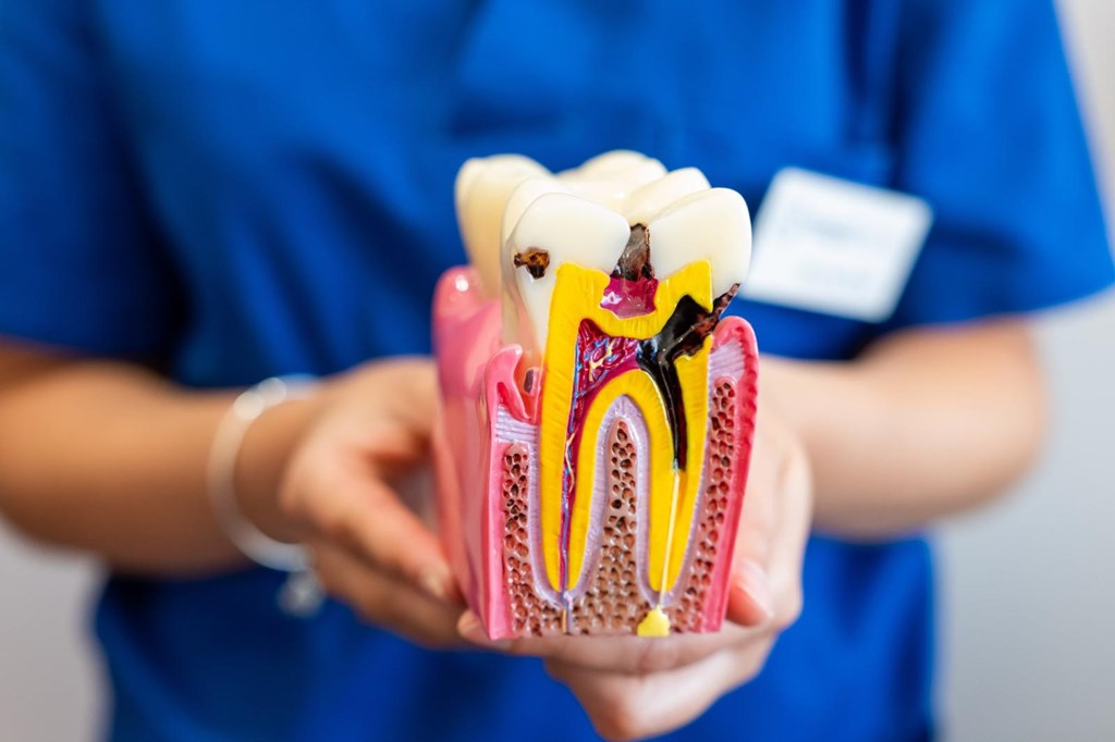 Foto 1 Adiós al dolor con la endodoncia en Lugo